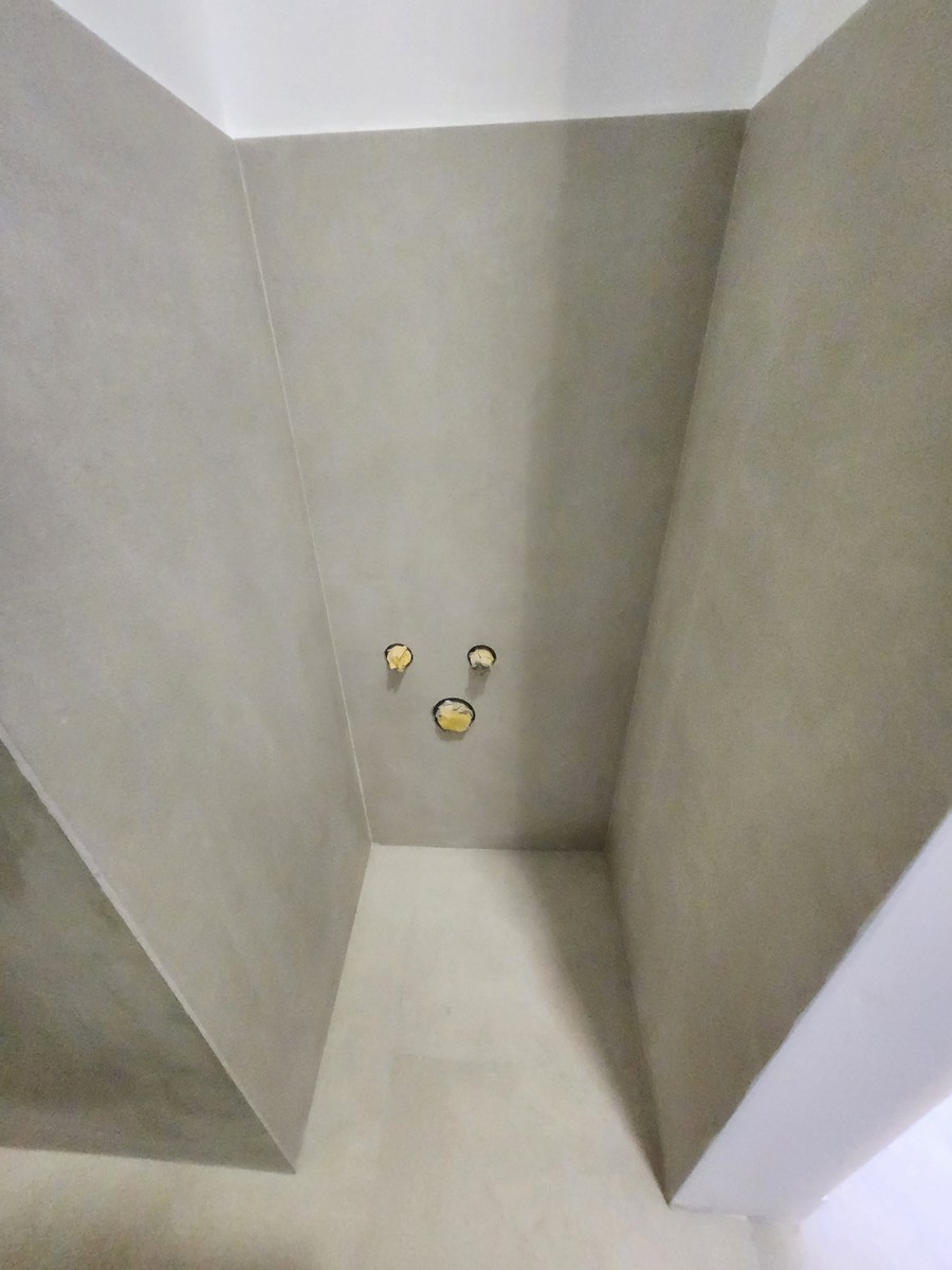 Master bathroom toilet area